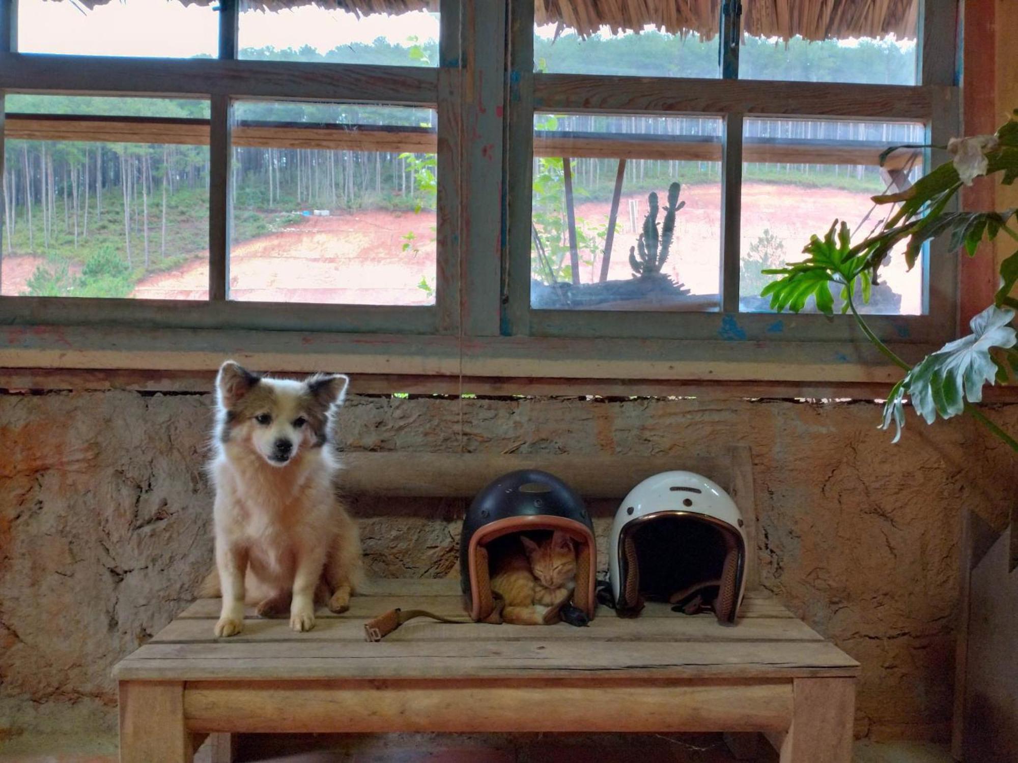 Vuon Nha Cui Homestay Da Lat Exterior photo